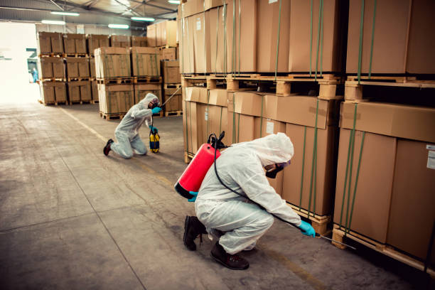 Best Bed Bug Extermination  in Greenup, IL