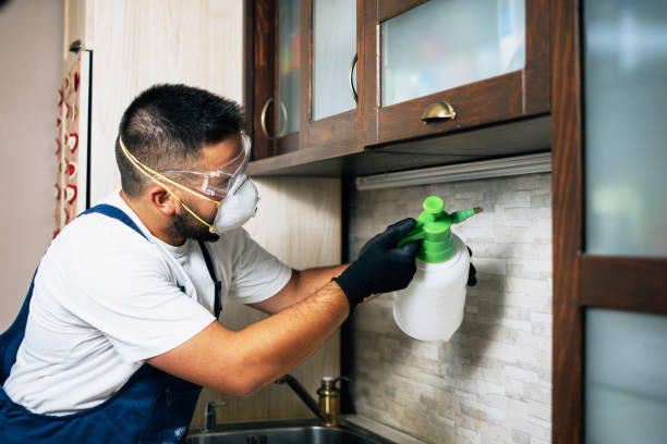 Best Affordable Pest Control Services  in Greenup, IL
