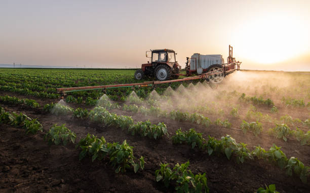 Pest Prevention Services in Greenup, IL