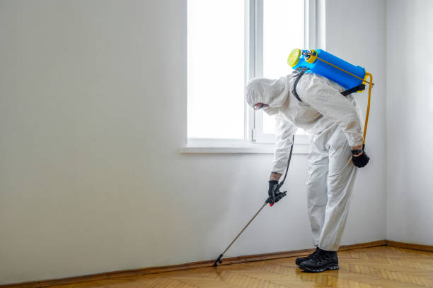Best Wasp Removal Services  in Greenup, IL