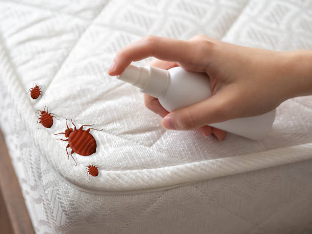 Best Flea Control Services  in Greenup, IL