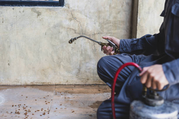 Pest Control Cost in Greenup, IL