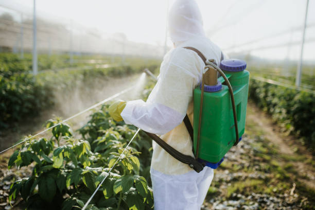 Best Best Pest Control Companies  in Greenup, IL